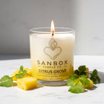A lit candle in a glass container, surrounded by pineapple chunks and cilantro leaves, with the label "SANBOX CANDLE CO. CITRUS GROVE" visible.