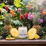 a candle labeled "CITRUS GROVE" surrounded by various tropical fruits, such as pineapple slices and a sprig of cilantro, all set against a backdrop of lush greenery and colorful flowers.