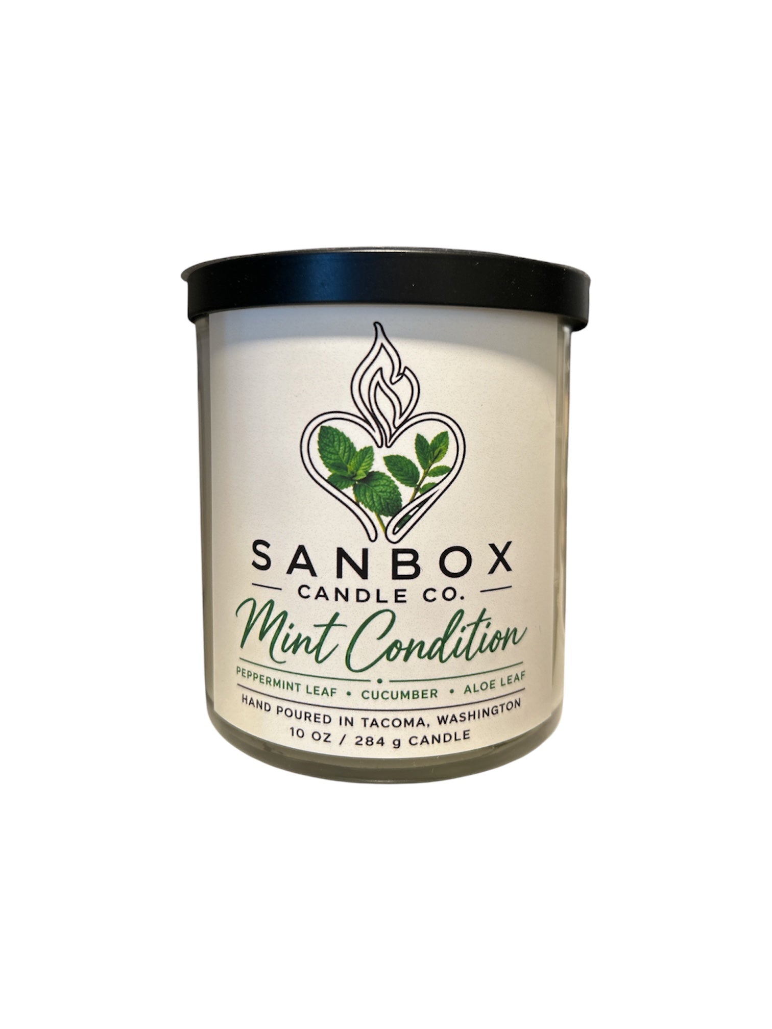 Mint Conditions 10-oz Soy Spa Candle