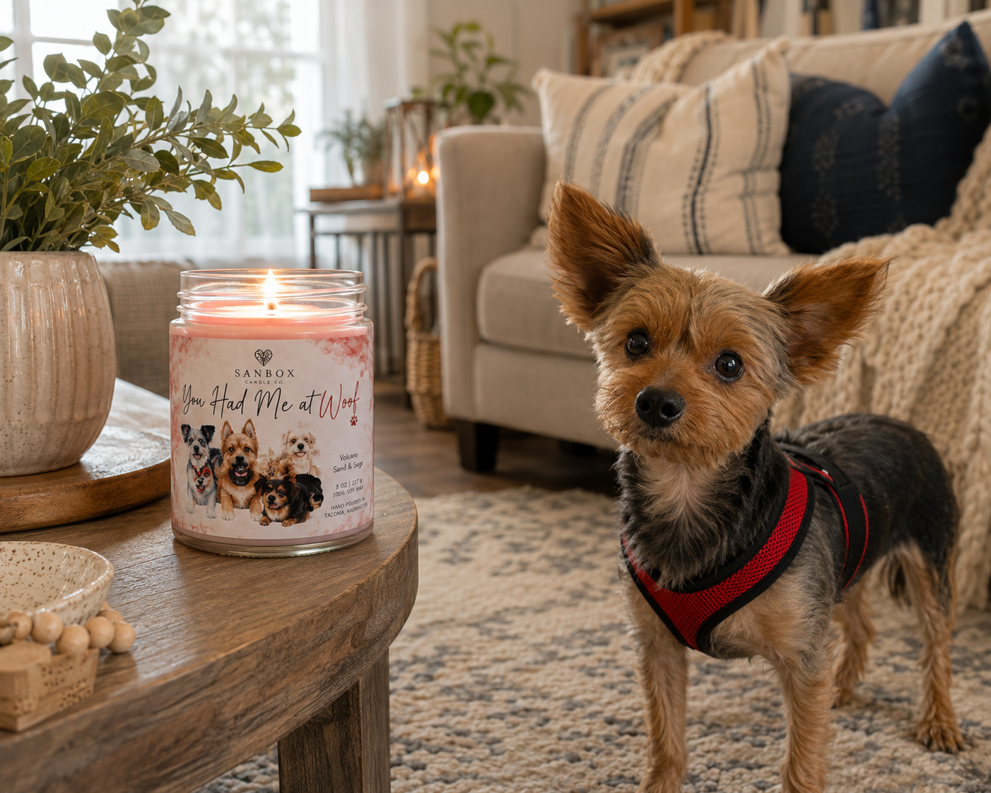 You Had Me at Woof!   8-oz Soy Odor-Eliminating Candle